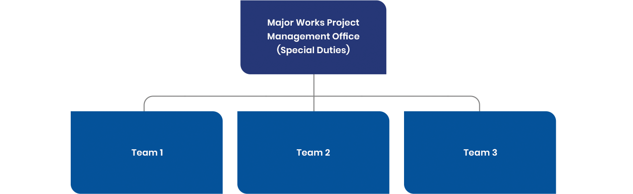 Graphic: Chart of Major Works Project Management Office (Special Duties)