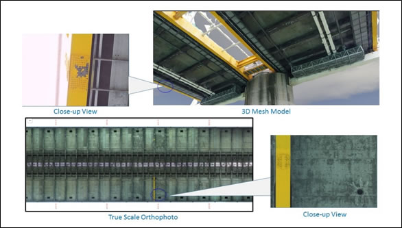 3D Mesh Model and Orthophoto