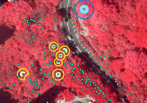 Tree samples (healthy / unhealthy) selected for model development, overlaid on Aerial Photograph