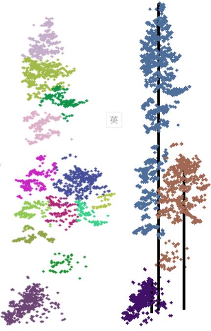 Single tree segmentation