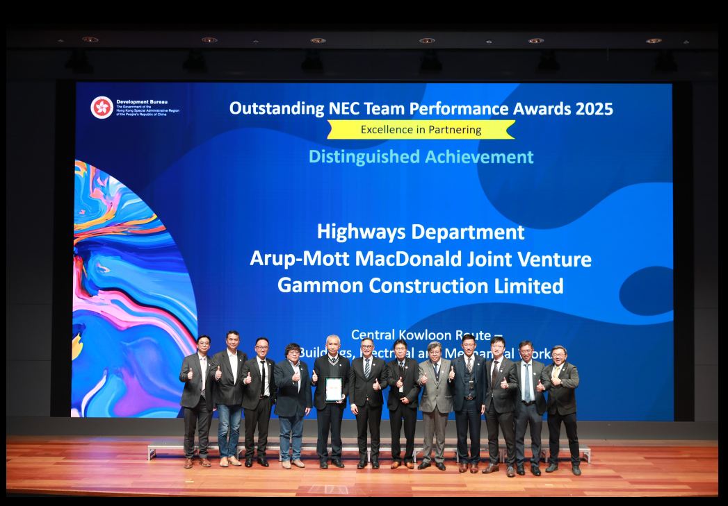 卓越伙伴合作奖杰出成就奖