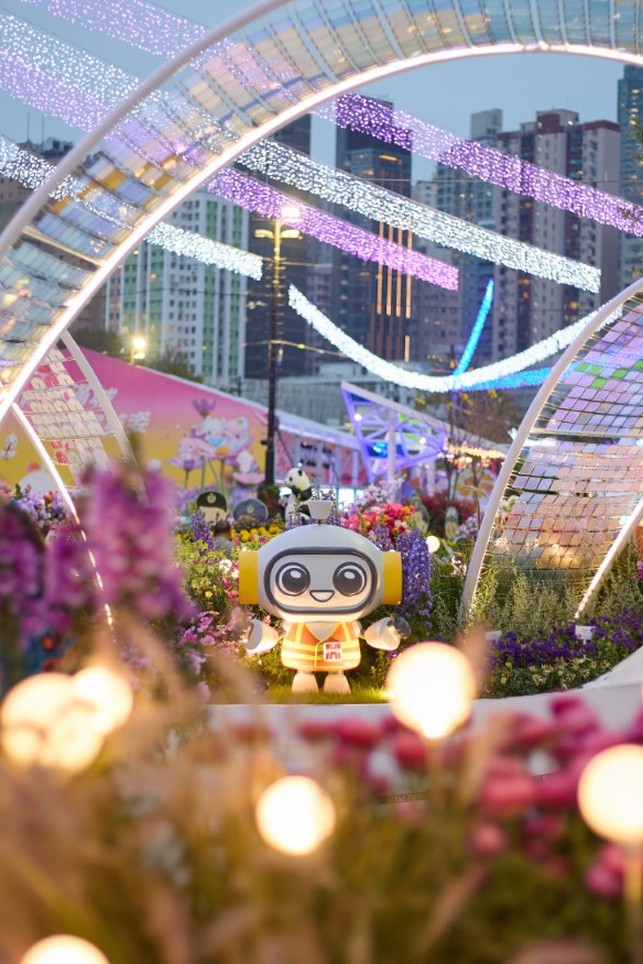 香港花卉展览2025相片