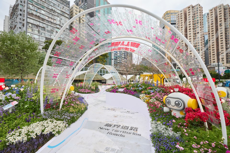 香港花卉展览2025相片