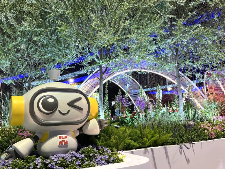 香港花卉展览2025相片