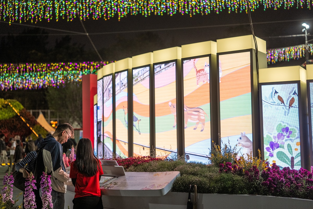 香港花卉展览2026相片