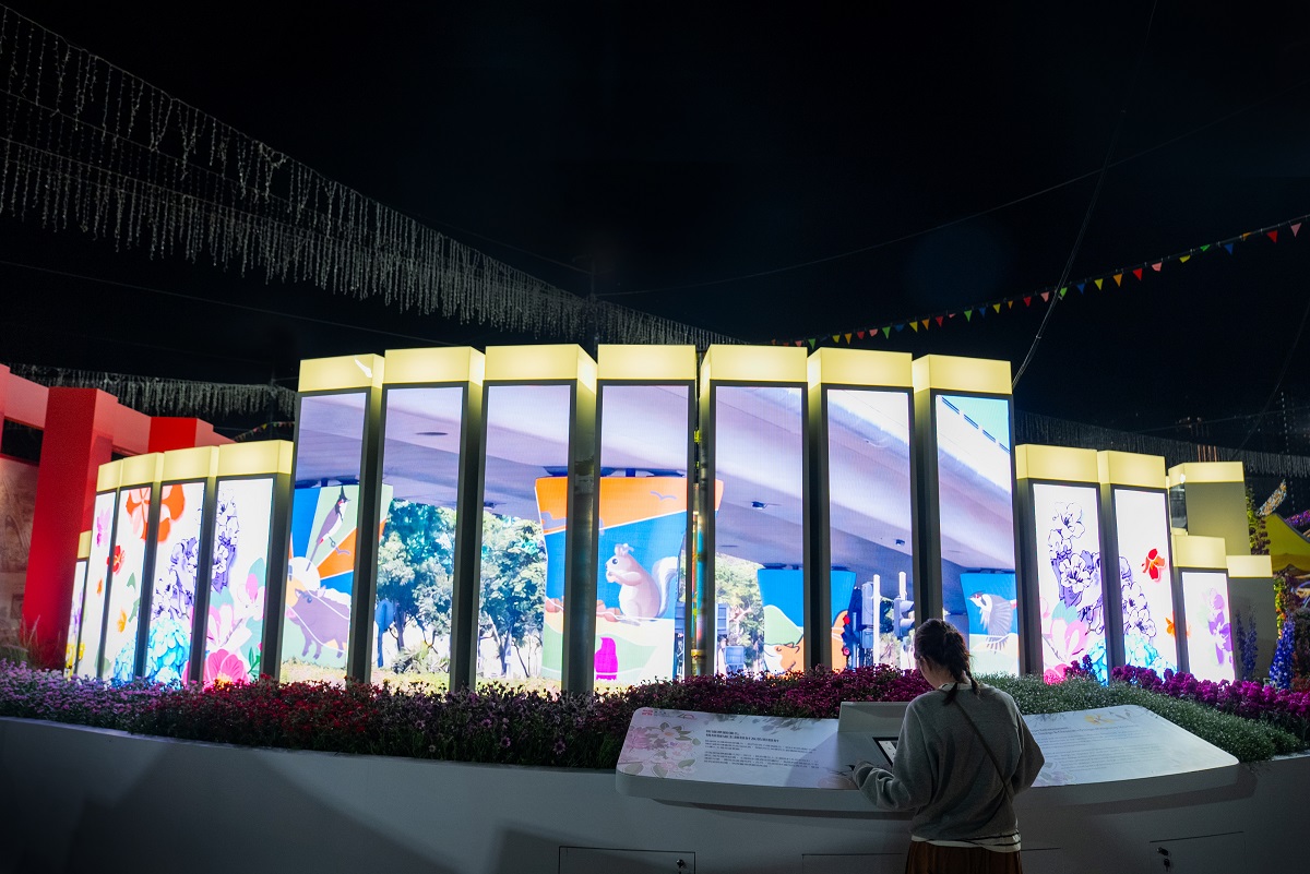 香港花卉展览2026相片