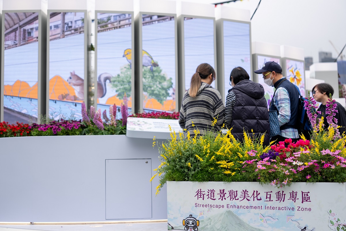 香港花卉展览2026相片