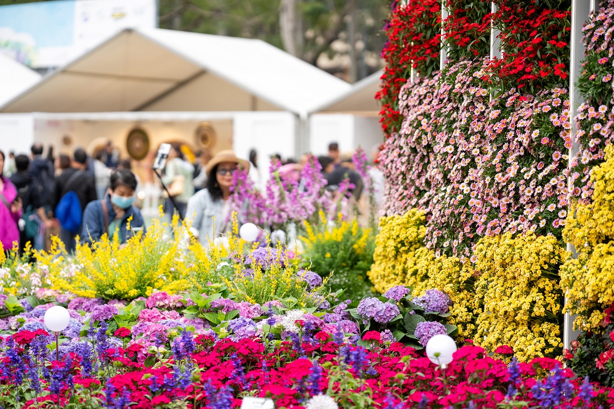 香港花卉展览2026相片