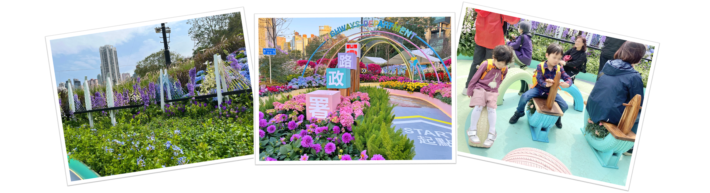 香港花卉展览2023 香港花卉展览2023