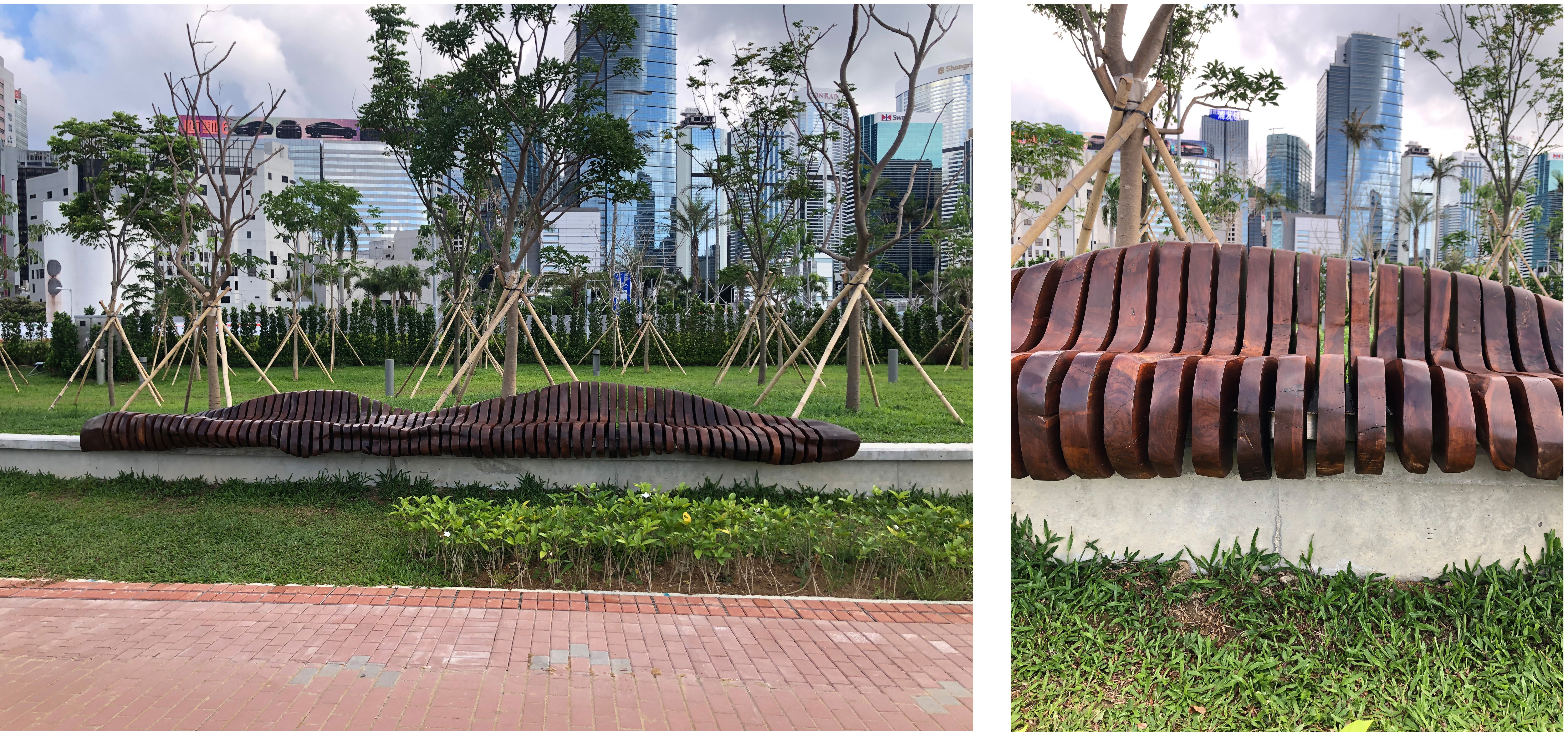 位于湾仔海滨长廊的台湾相思木椅