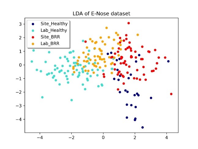 图7 - 资料分析，根据挥发性有机物中特定标记物排放资料（气味指纹）的所得到的模式图谱，可以辨别出潜在的褐根病感染样本