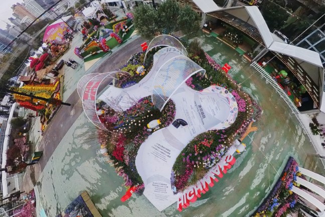 香港花卉展覽2025相片