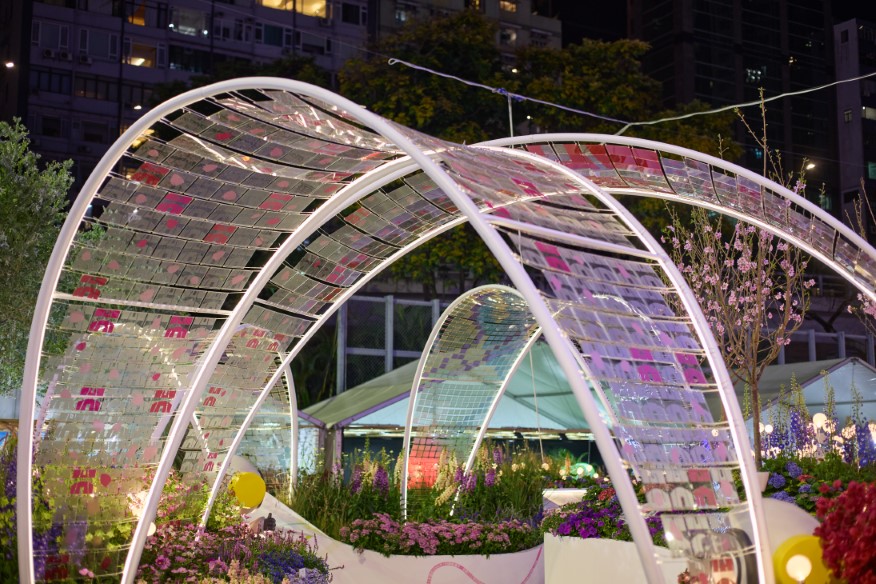 香港花卉展覽2025相片