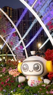 香港花卉展覽2025相片