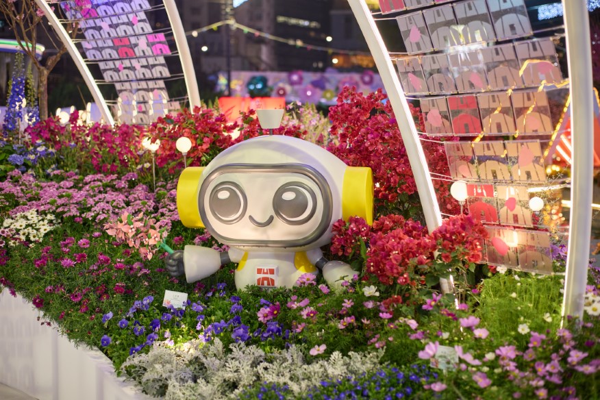 香港花卉展覽2025相片