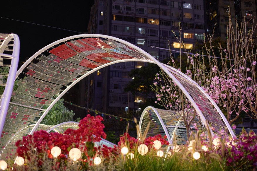 香港花卉展覽2025相片
