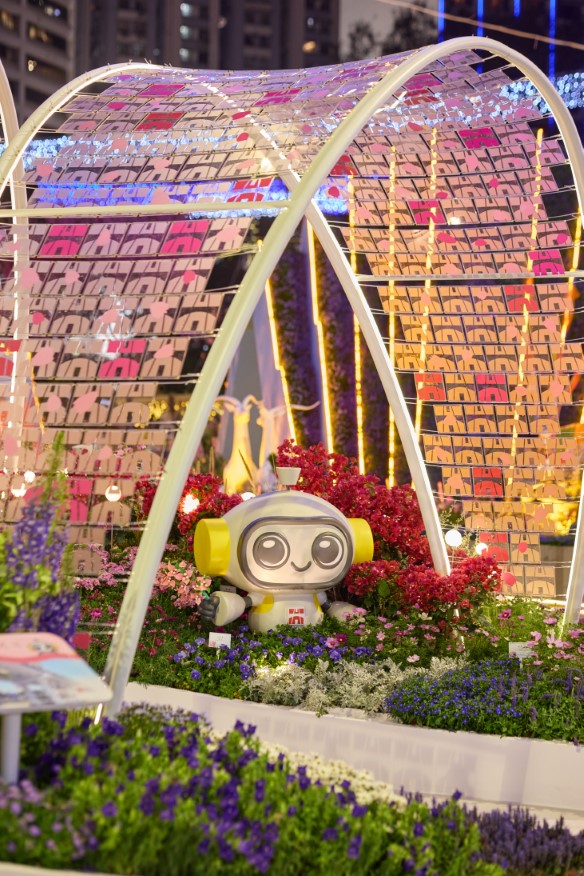 香港花卉展覽2025相片