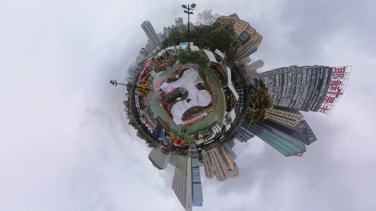 香港花卉展覽2025相片