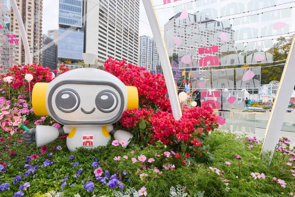 香港花卉展覽2025相片