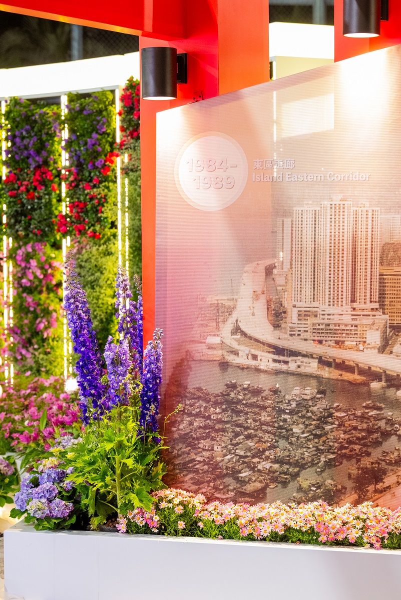 香港花卉展覽2026相片